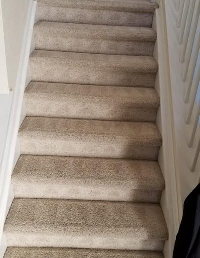 Environmental Friendly Carpet Cleaning Services Castle Rock CO