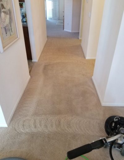 Carpet Cleaning Castle Rock CO | Kings Of Steam | 7206638770