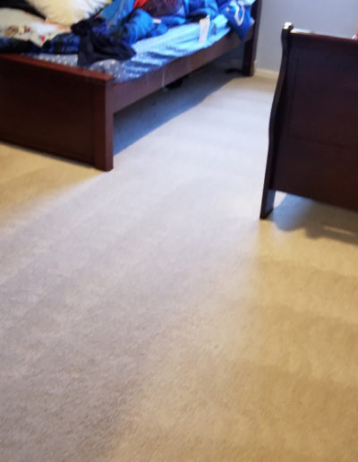 Organic Carpet Cleaning Near Castle Rock CO