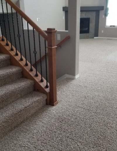 Professional Carpet Cleaning Services Castle Rock CO