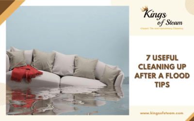 7 Useful Cleaning Up After A Flood Tips