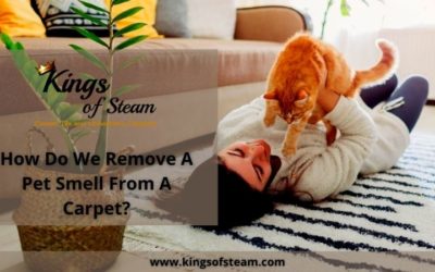 How Do We Remove A Pet Smell From A Carpet?