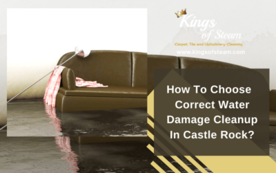 How To Choose Correct Water Damage Cleanup In Castle Rock?