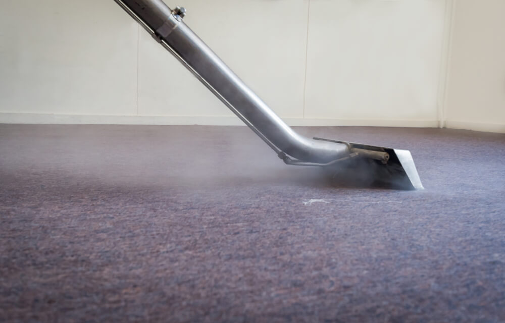 Is Professional Carpet Cleaning Worth It- Discover The Truth