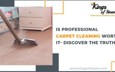 Is Professional Carpet Cleaning Worth It- Discover The Truth