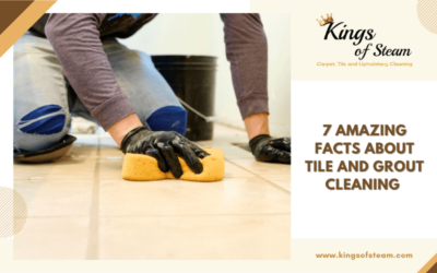 7 Amazing Facts about Tile and Grout Cleaning