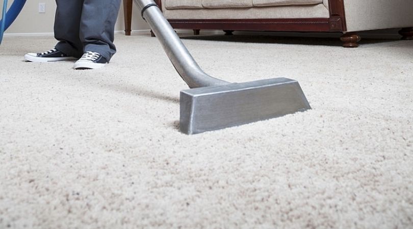 Pet Stain And Odor Removal Castle Rock CO