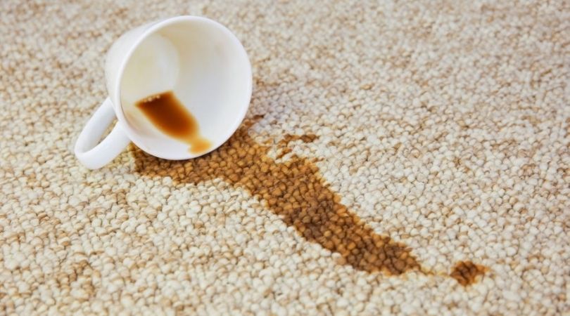 Professional Carpet Stain Removal Castle Rock