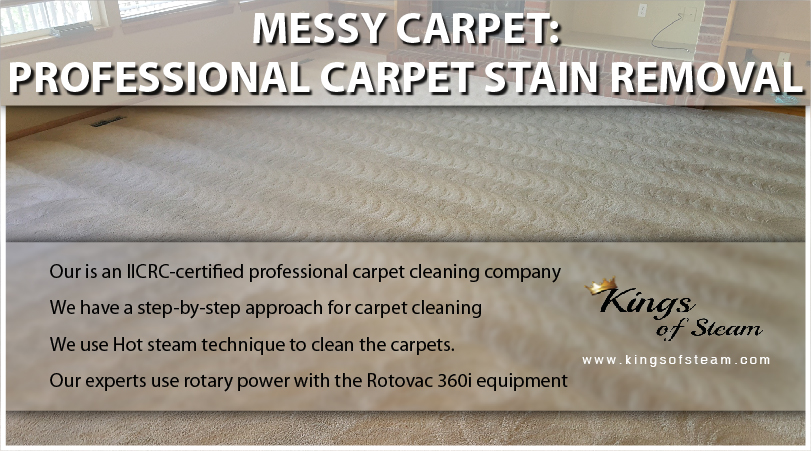 Professional Carpet Stain Removal Castle Rock