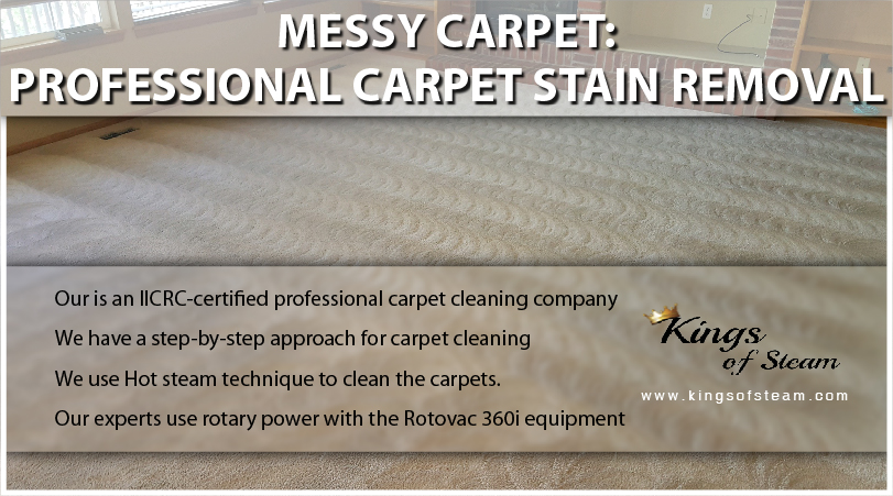 Messy Carpet: Professional Carpet Stain Removal