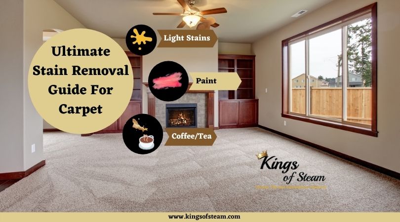 Ultimate Stain Removal Guide For Carpet