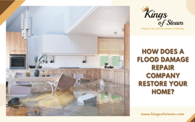 How Does A Flood Damage Repair Company Restore Your Home?
