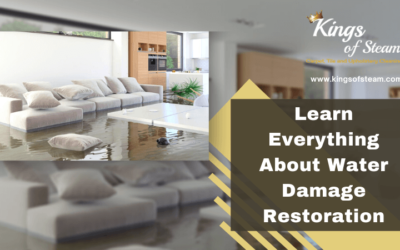 Learn Everything About Water Damage Restoration