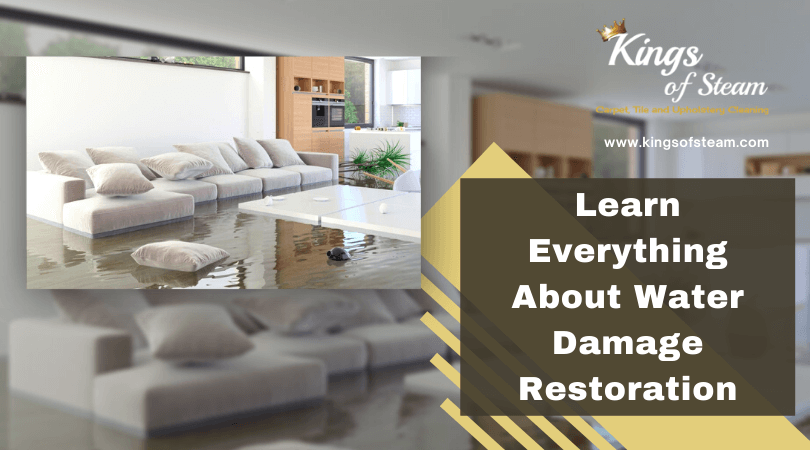 Learn Everything About Water Damage Restoration