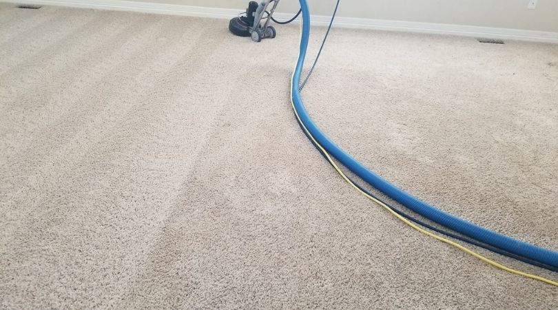 Best Carpet Cleaning in Castle Rock CO