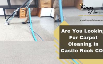 Are You Looking For Carpet Cleaning In Castle Rock CO?