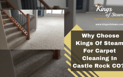 Why Choose Kings Of Steam For Carpet Cleaning In Castle Rock CO?