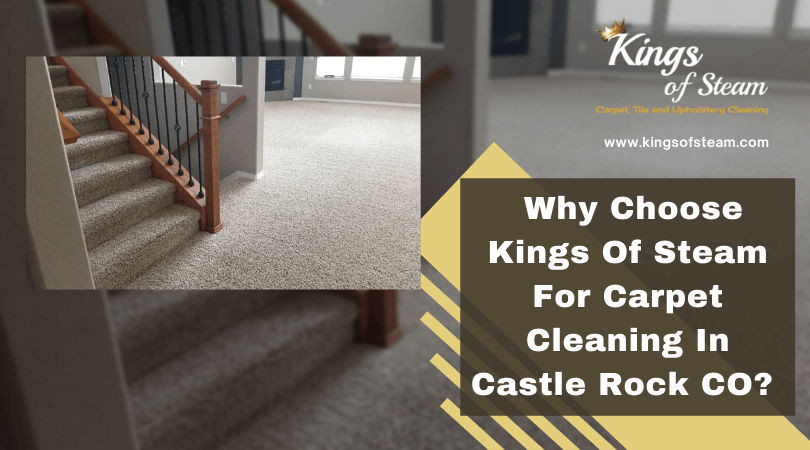 Why Choose Kings Of Steam For Carpet Cleaning In Castle Rock CO
