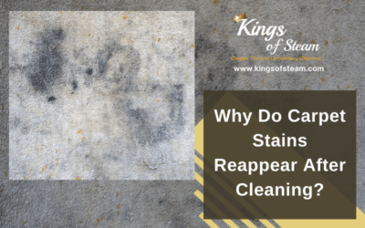 Why Do Carpet Stains Reappear After Cleaning?