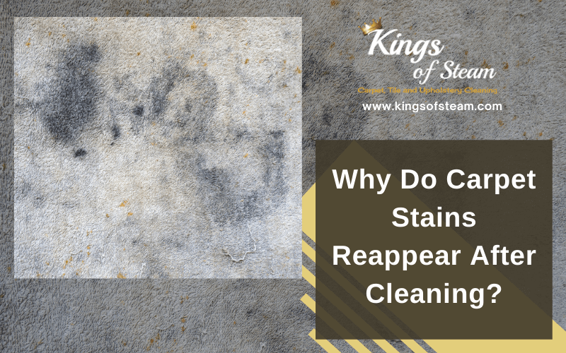 Why Do Carpet Stains Reappear After Cleaning