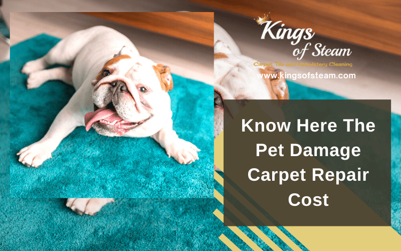 Pet Damage Carpet Repair Cost