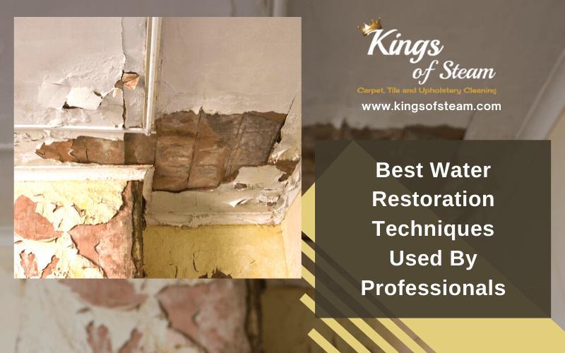 Best Water Restoration Techniques Used By Professionals