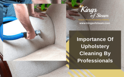 Importance Of Upholstery Cleaning By Professionals