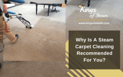 Why Is A Steam Carpet Cleaning Recommended For You? With Infographic