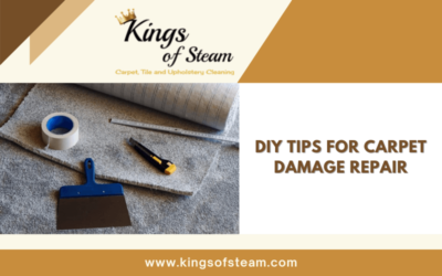 DIY Tips For Carpet Damage Repair