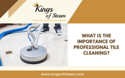 What Is The Importance Of Professional Tile Cleaning?