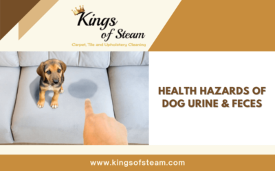 Health Hazards Of Dog Urine & Feces