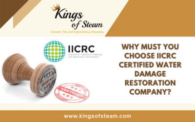 Why Must You Choose IICRC Certified Water Damage Restoration Company?