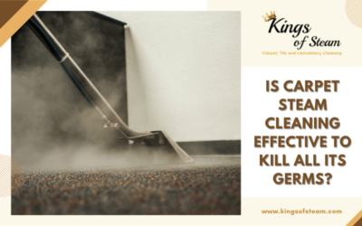 Is Carpet Steam Cleaning Effective To Kill All Its Germs?