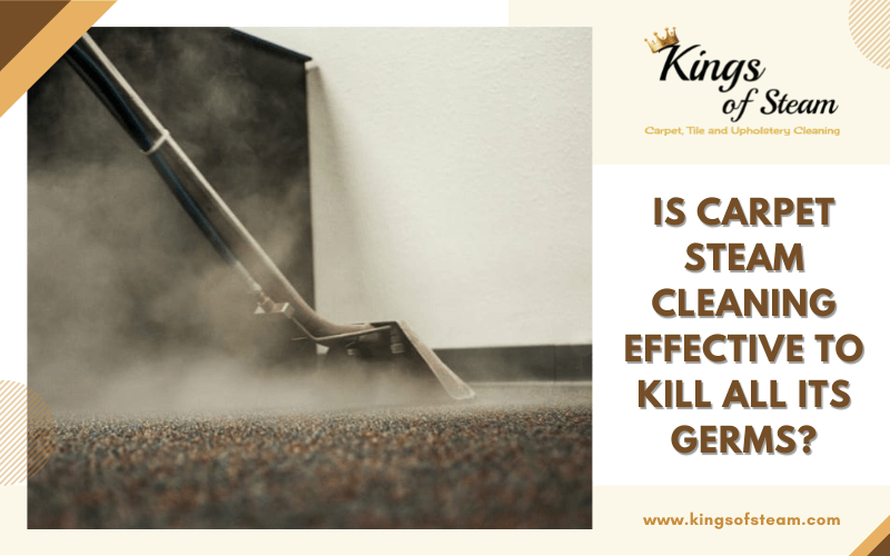 Is Carpet Steam Cleaning Effective To Kill All Its Germs_