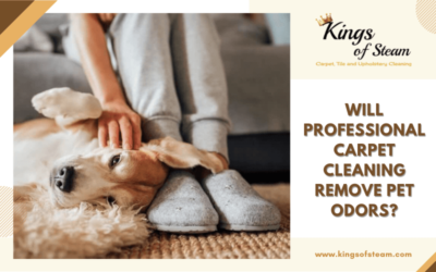 Will Professional Carpet Cleaning Remove Pet Odors?
