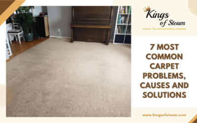 7 Most Common Carpet Problems, Causes and Solutions