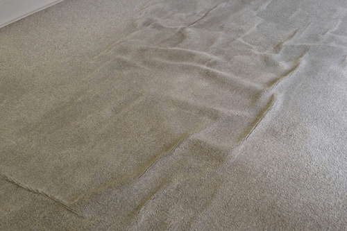 Carpet Buckling