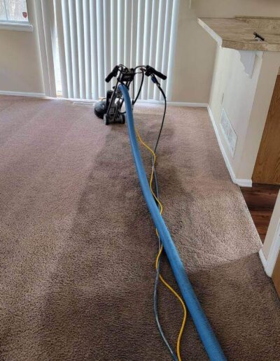 Carpet Cleaning Services