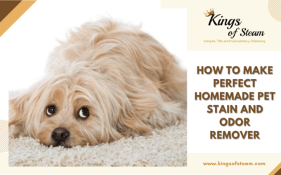 How To Make Perfect Homemade Pet Stain And Odor Remover?