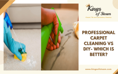 Professional Carpet Cleaning Vs DIY- Which Is Better?