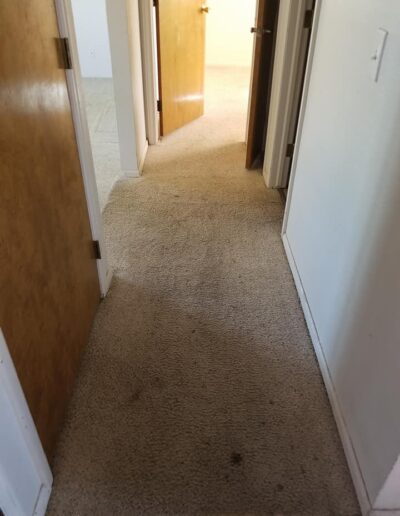 Before Carpet Cleaning