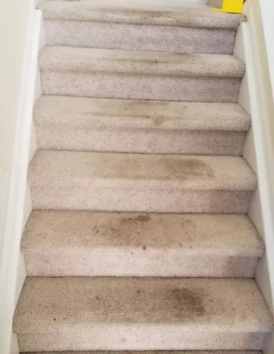 Before Carpet Cleaning