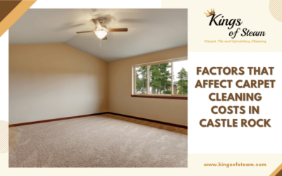 Factors that Affect Carpet Cleaning Costs in Castle Rock