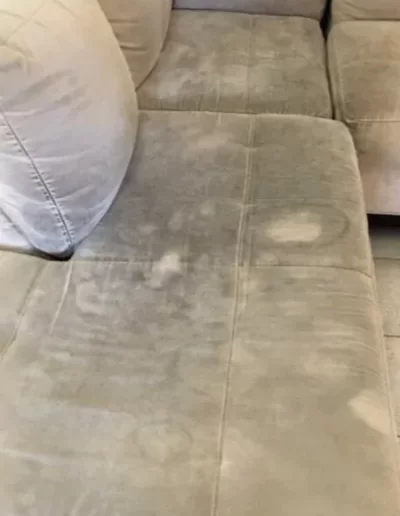 Before Upholstery Cleaning